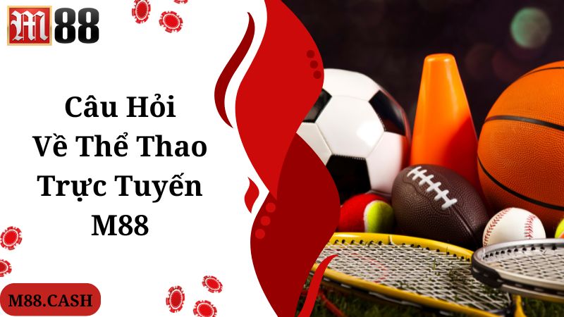 M88 Thể thao trực tuyến: Cá cược giải trí hấp dẫn bậc nhất 5 Câu hỏi nhiều người quan tâm, tìm hiểu về M88 thể thao trực tuyến